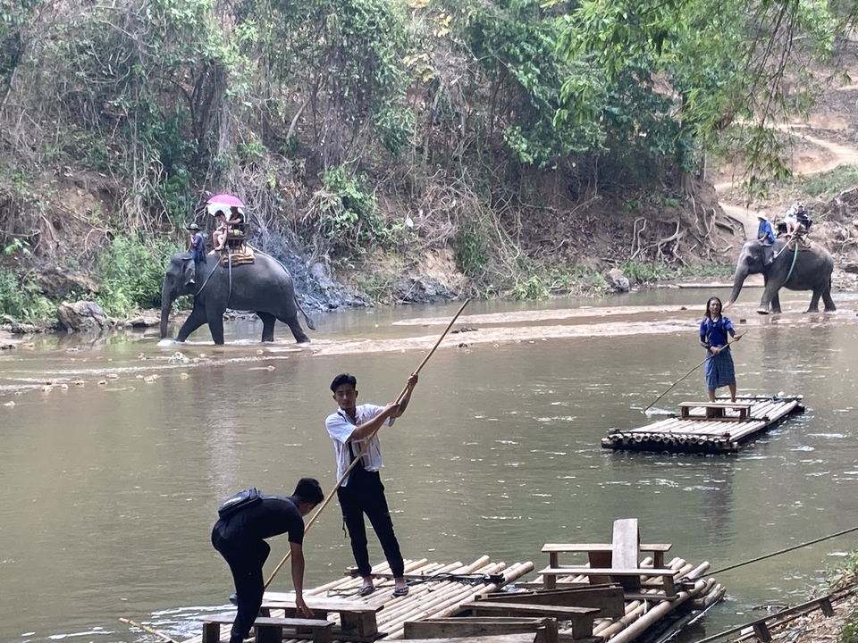 Touristes avec des éléphants traversant une rivière tandis que d'autres font du rafting.