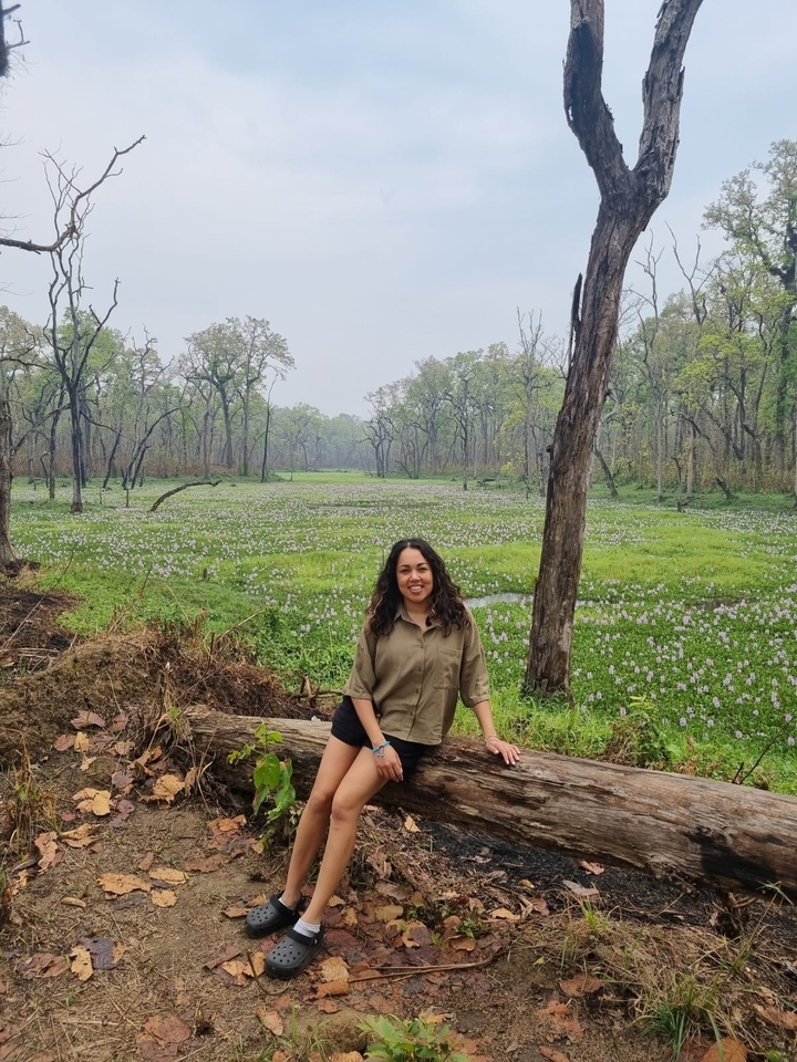 Woman sitting on a log in a lush forest with flowering plants.