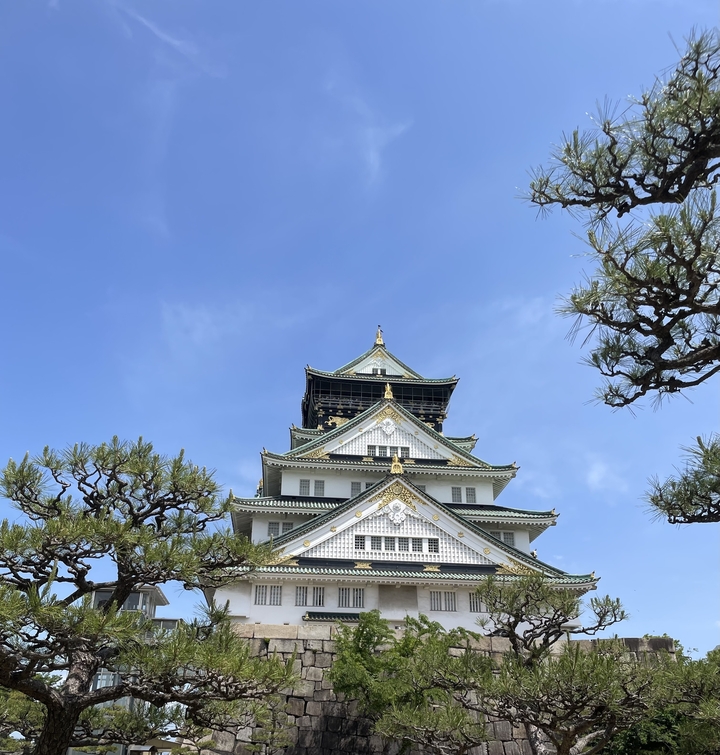 Le château d'Osaka encadré par les arbres sous un ciel bleu.