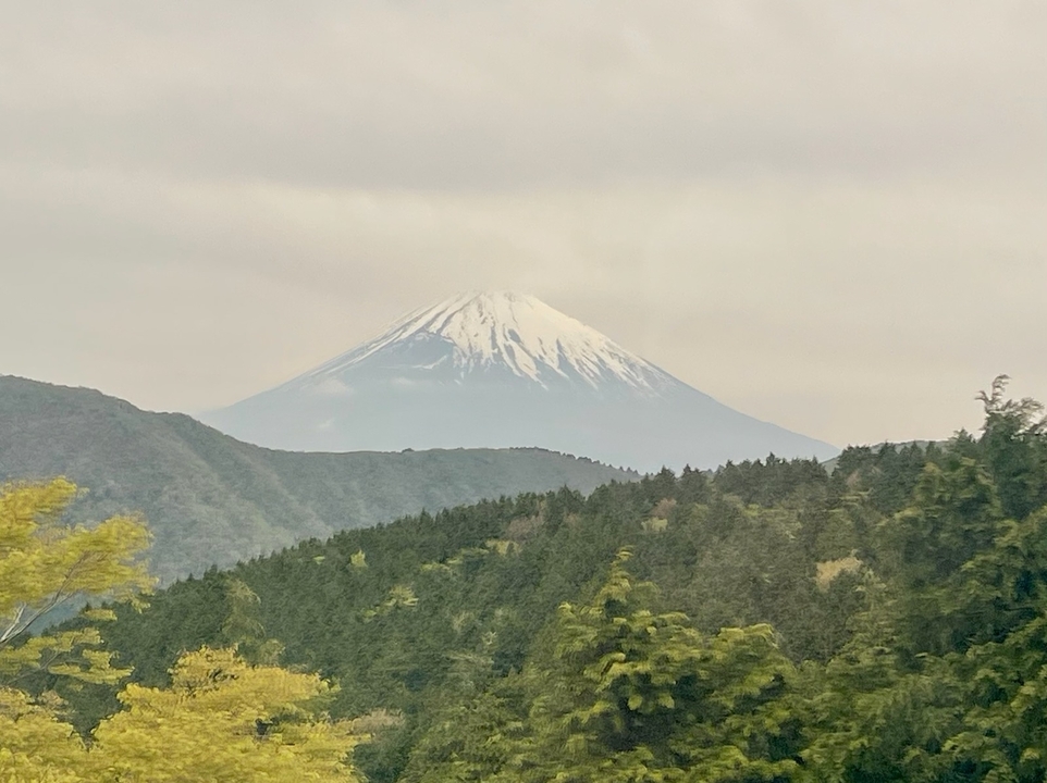 Le mont Fuji vu de loin, avec des paysages boisés.