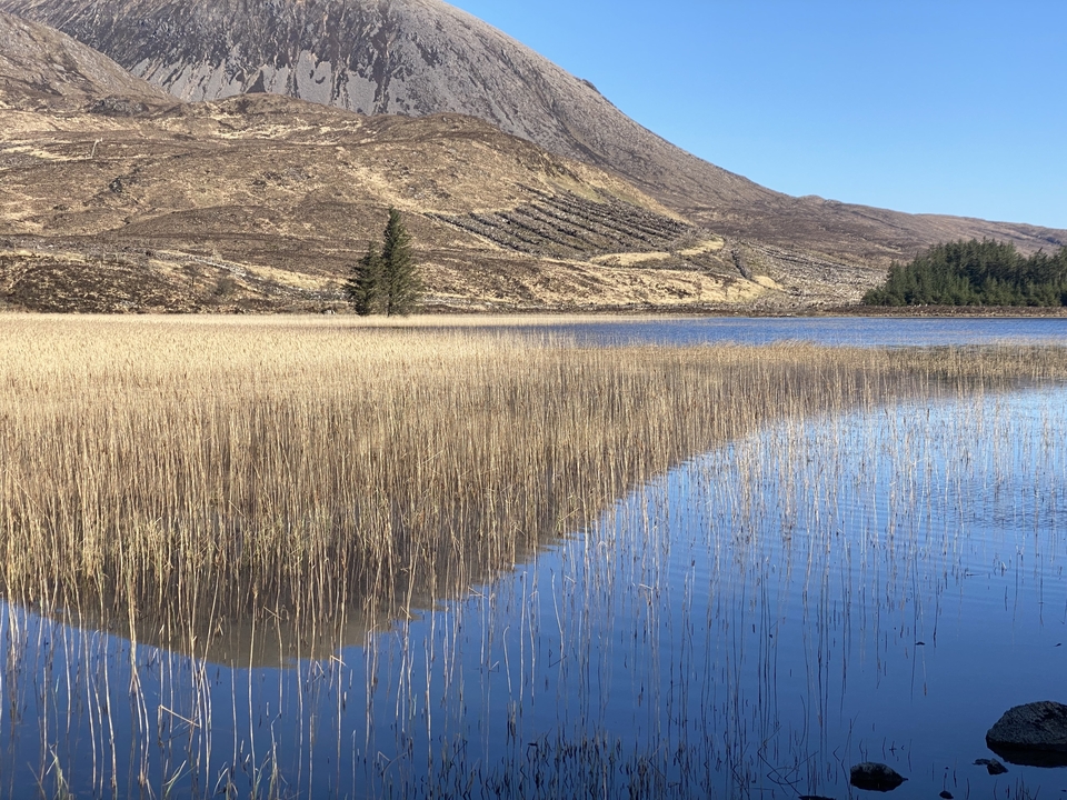 Beau paysage avec lac aux roseaux et montagnes.