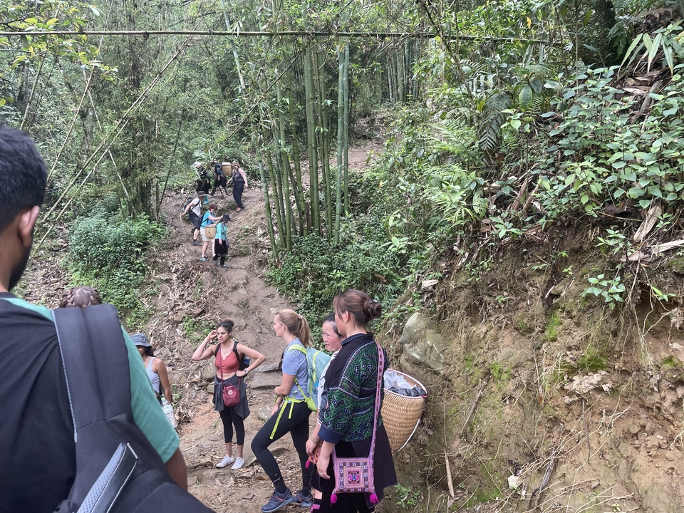Groupe de touristes faisant de la randonnée à travers une forêt luxuriante.