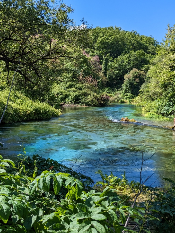 Rivière immaculée qui coule à travers une végétation verdoyante luxuriante.