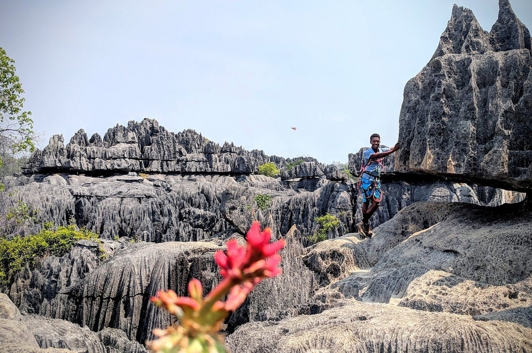 Personne qui grimpe dans un paysage rocheux avec une fleur au premier plan.