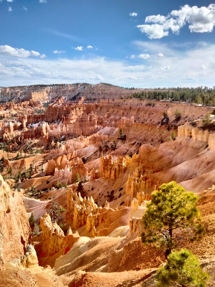 Vast ochre-colored canyon landscape with hoodoo formations.