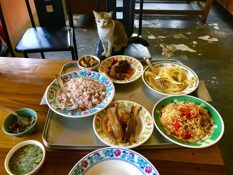 Assortiment de plats bhoutanais sur une table avec un chat qui observe.