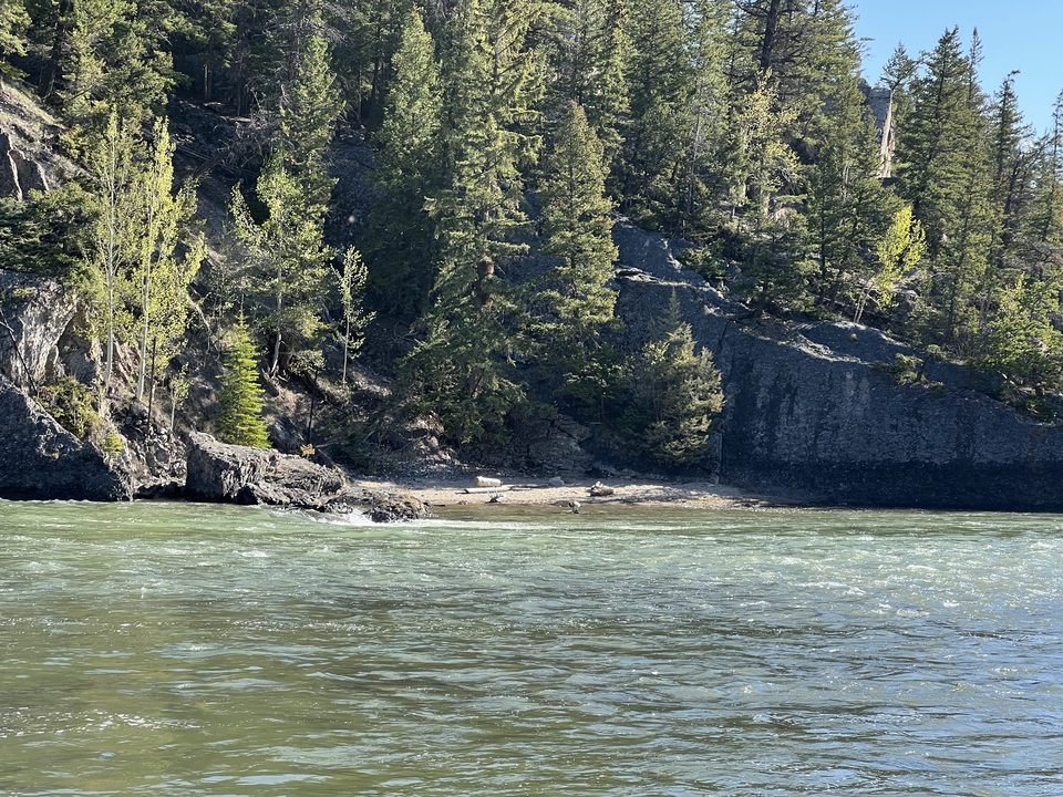 Rive rocheuse avec des arbres et une eau claire.