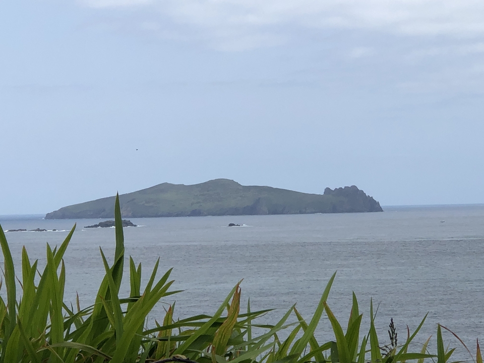 Island view across the water.
