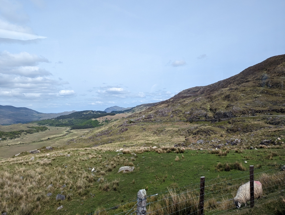 Paysage vallonné avec des pâturages.