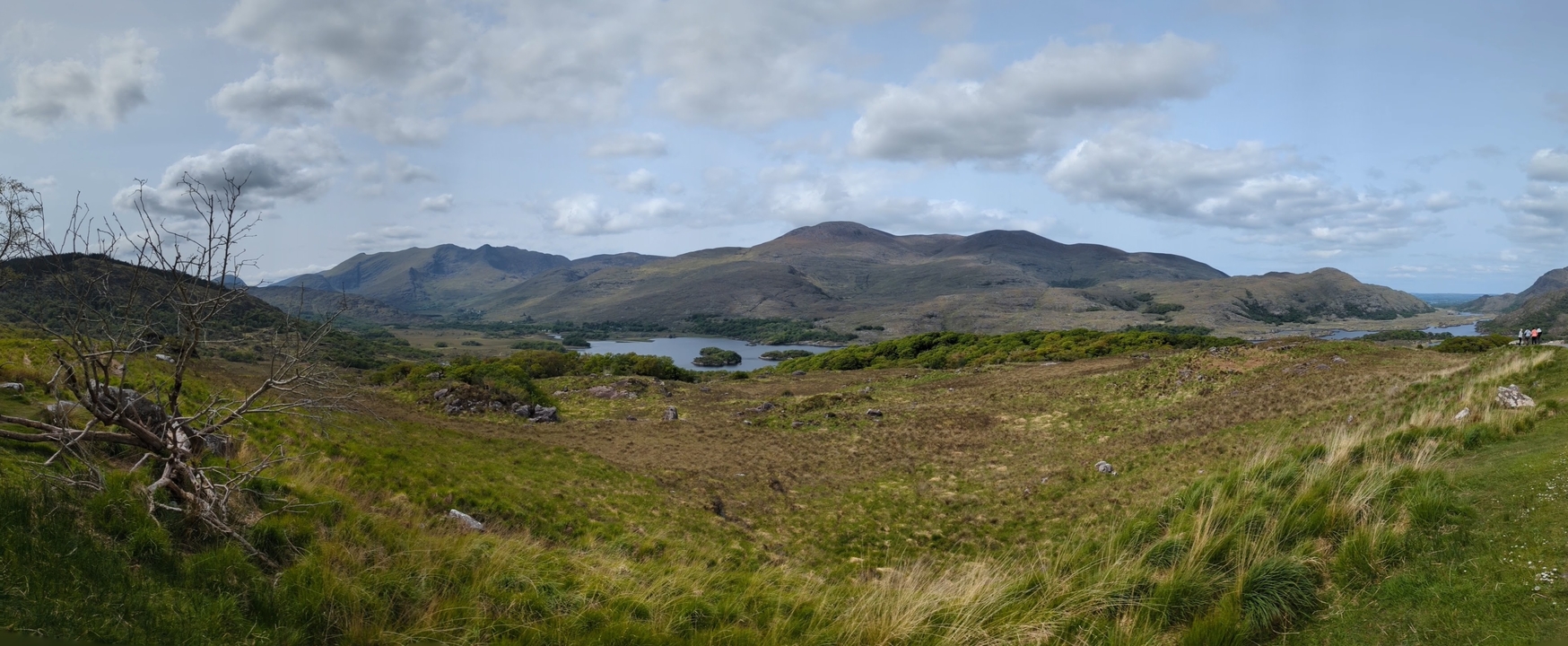 Vue étendue d'un paysage vallonné avec des lacs.