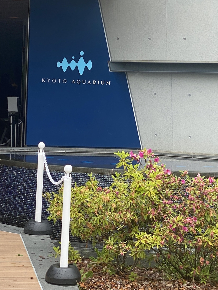 Zone de construction avec des fleurs et un grand mur bleu