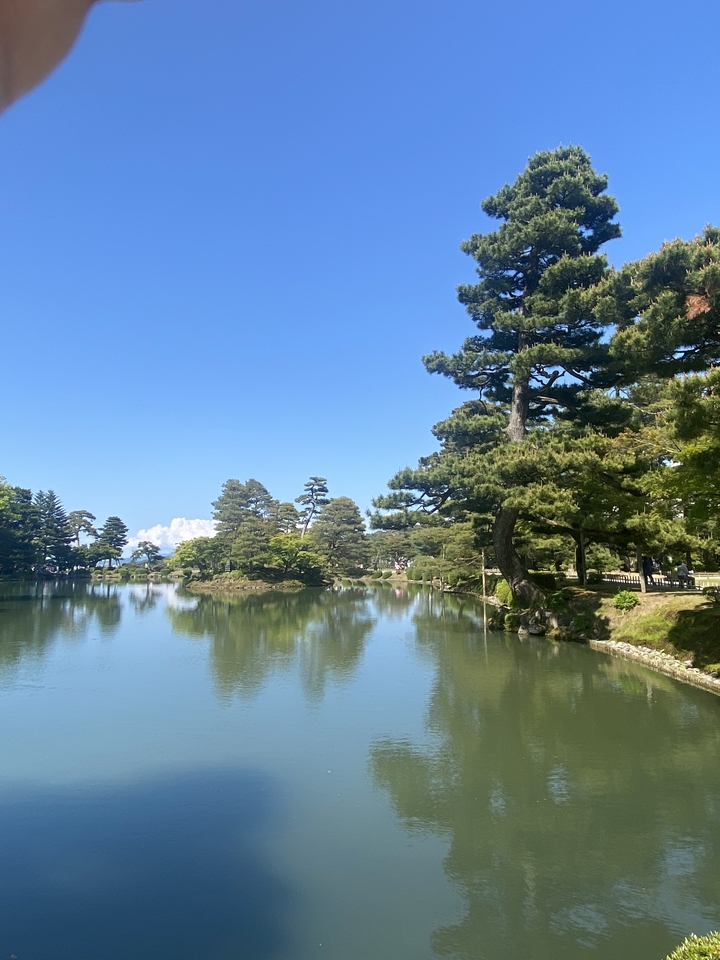 Lac serein avec des arbres et des reflets dans l'eau