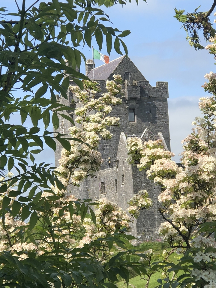 Castle behind blooming trees