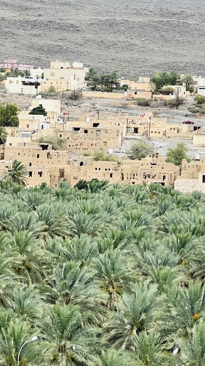 Anciens bâtiments de ville entourés de palmiers.
