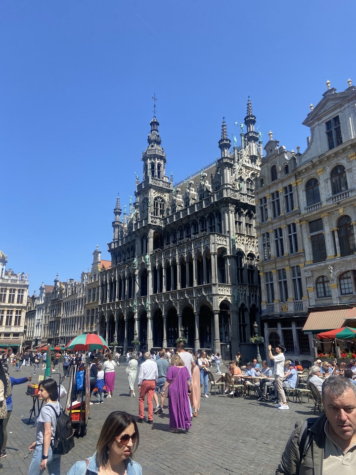 Place Grand à Bruxelles avec une architecture complexe
Note: In French, "Grand Place" (the famous square in Brussels) is typically called "Grand Place" or sometimes "Grand-Place," maintaining the French name it already has. However, a more natural French translation would be:
**Grand Place de Bruxelles avec son architecture complexe**
or
**La Grand Place de Bruxelles à l'architecture raffinée**