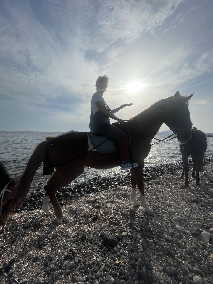 Personne montant à cheval au bord de la mer.