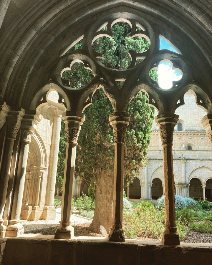 Des arches de pierre avec un arbre en arrière-plan.