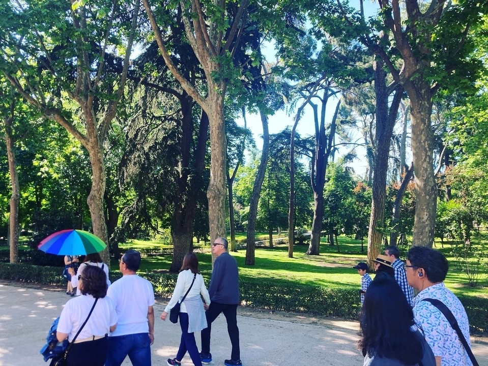 Des gens qui se promènent dans un parc avec de grands arbres.
