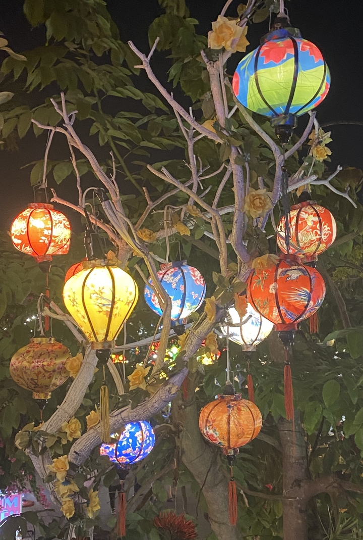 Lanternes colorées dans un arbre la nuit.