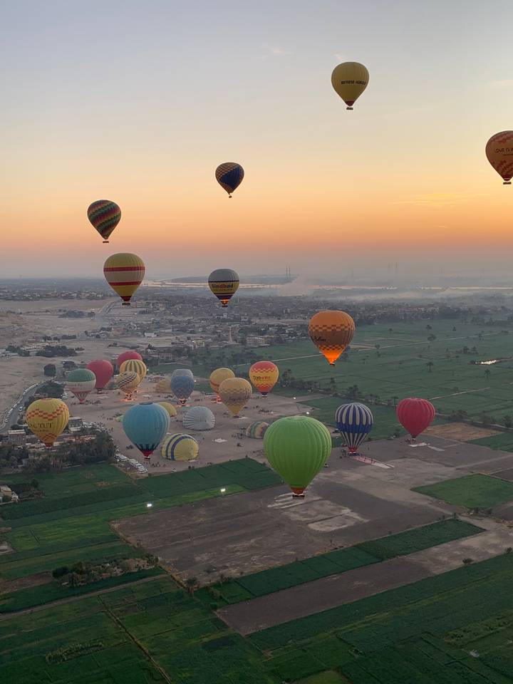 Multiple hot air balloons in the sky at dawn.