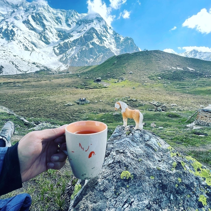 Paysage montagneux pittoresque avec des sommets enneigés, une tasse et une figurine de cheval jouet.