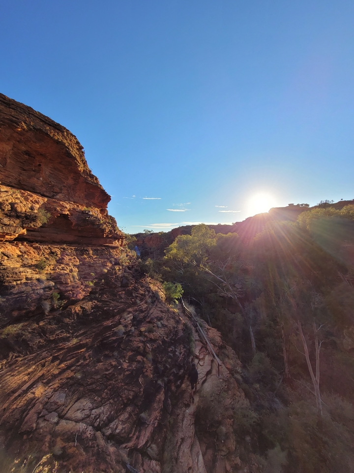 Canyon au coucher du soleil avec roches rouges et arbres.