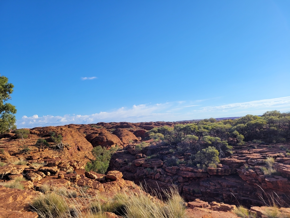 Formations rocheuses rouges avec de la végétation éparse.