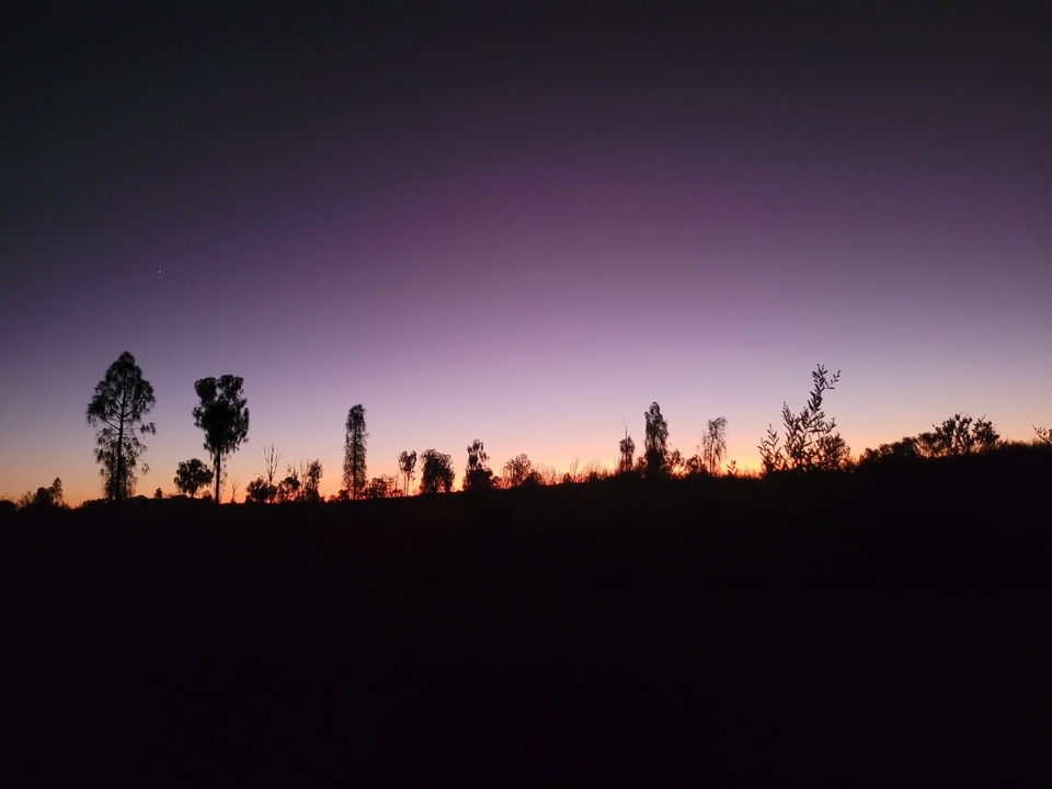 Silhouette d'arbres contre un ciel crépusculaire coloré.