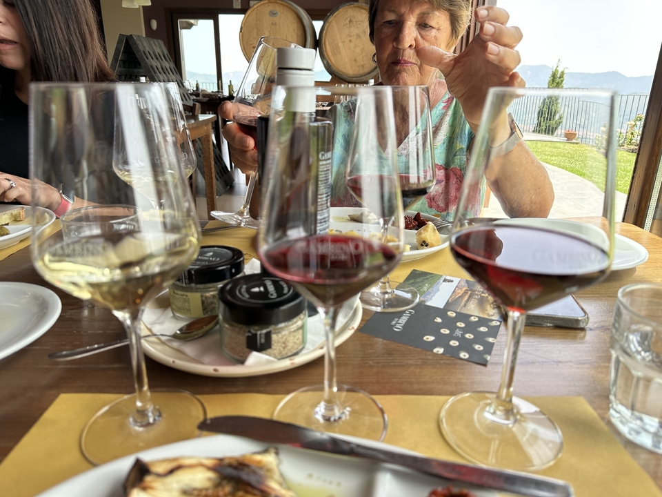Séance de dégustation avec différents verres de vin sur une table.