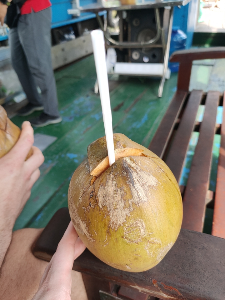 Gros plan d'une noix de coco avec une paille.