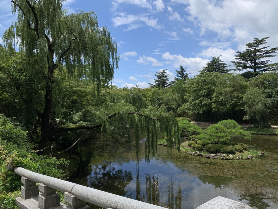 Jardin tranquille avec un bassin et une végétation luxuriante.