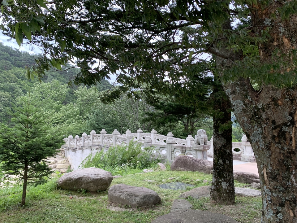 Cadre paisible de parc avec des arbres et un pont en pierre.