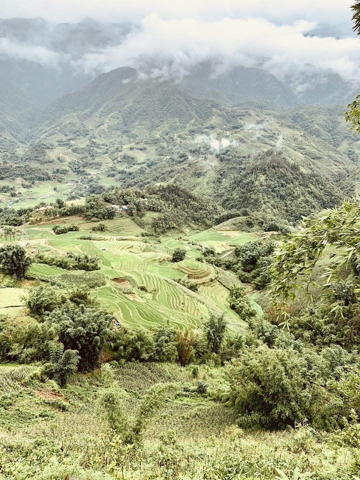 Vaste paysage avec des champs en terrasses et des collines.