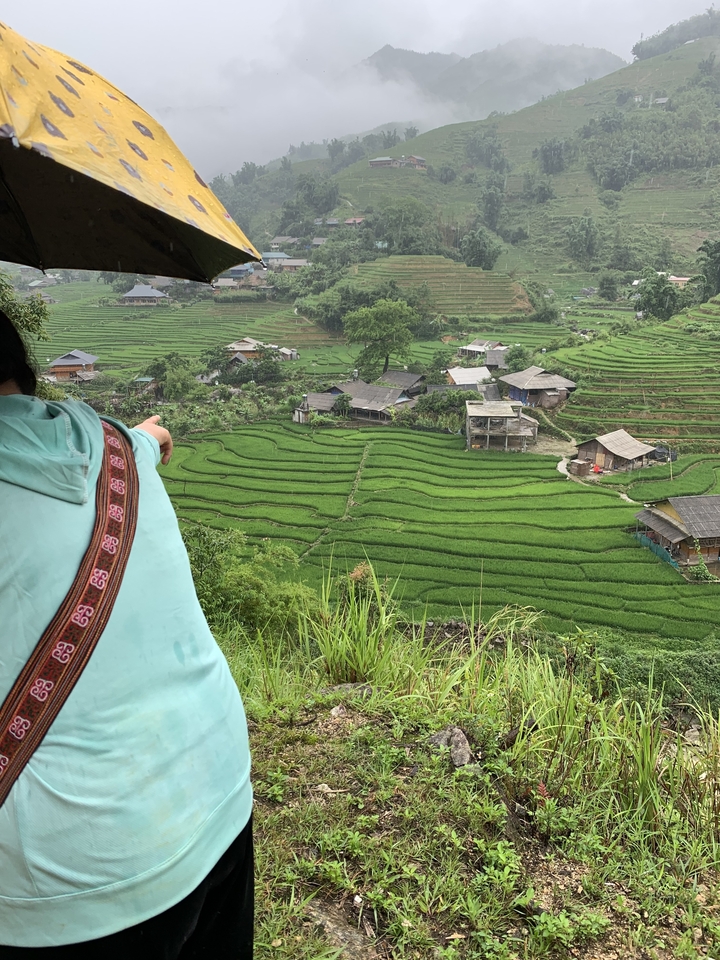 Rizières en terrasses vertes avec un village en arrière-plan.