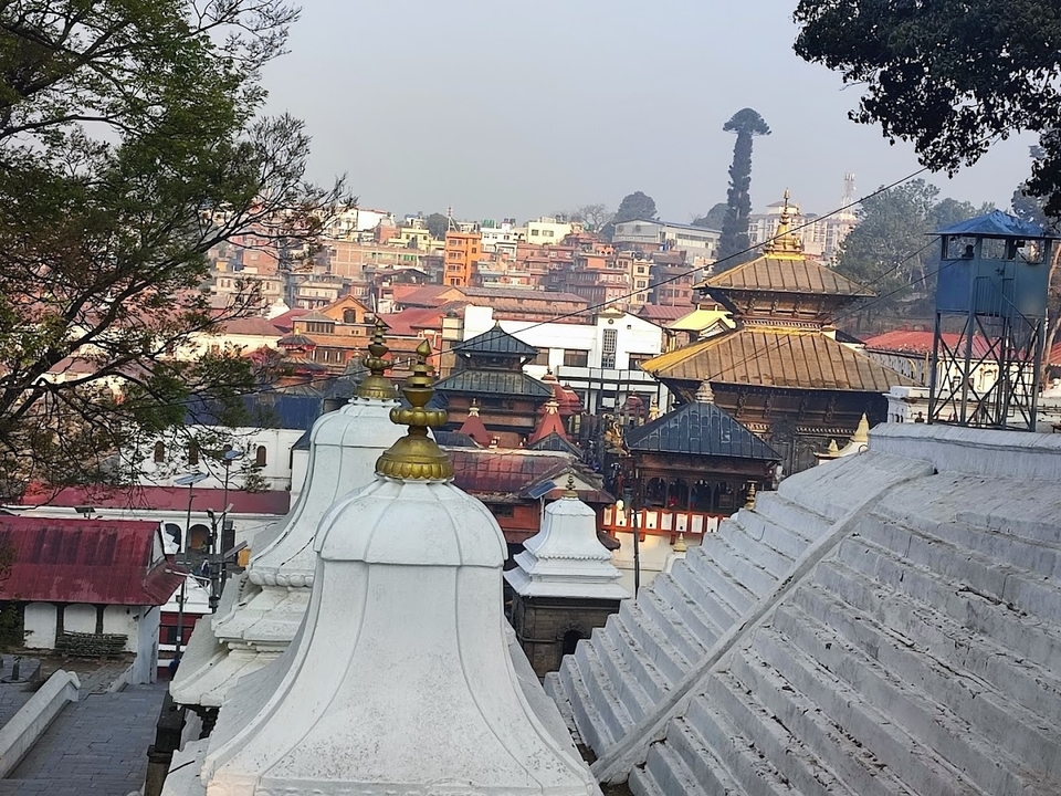 Vue d'un complexe de temples avec un paysage urbain en arrière-plan.