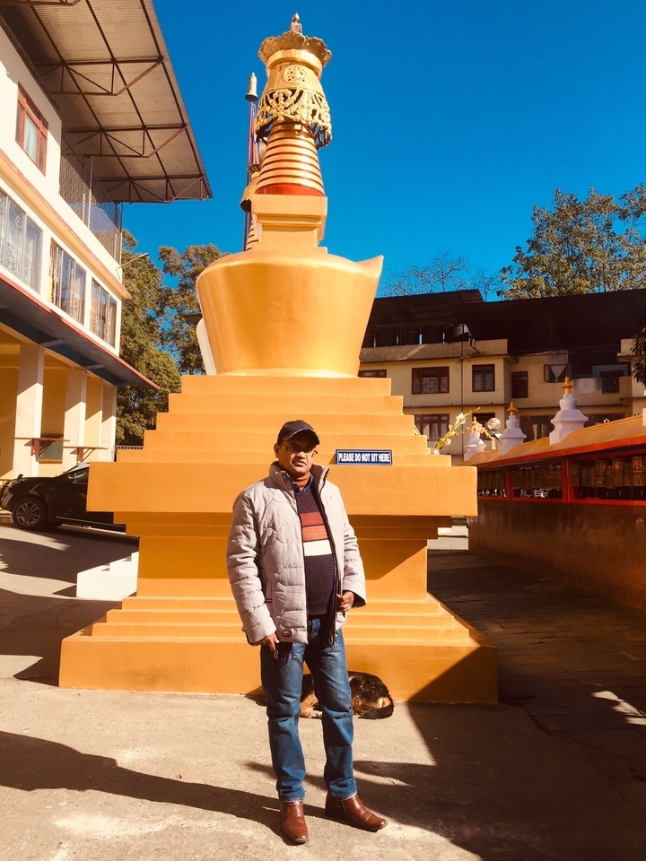 Personne debout devant un grand stupa.