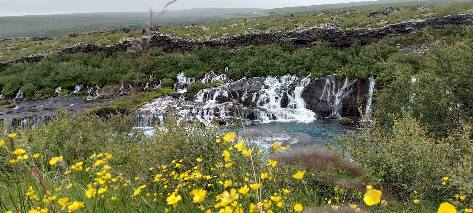 Un paysage vibrant avec des cascades et des fleurs sauvages.
