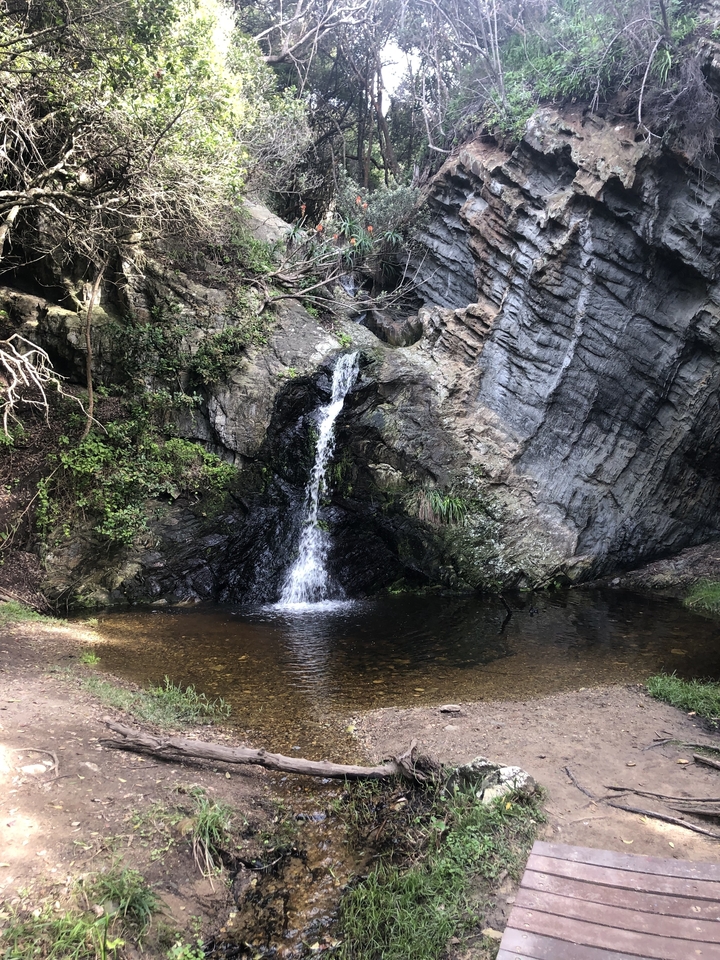 Une petite cascade se déversant dans un bassin entouré de rochers.