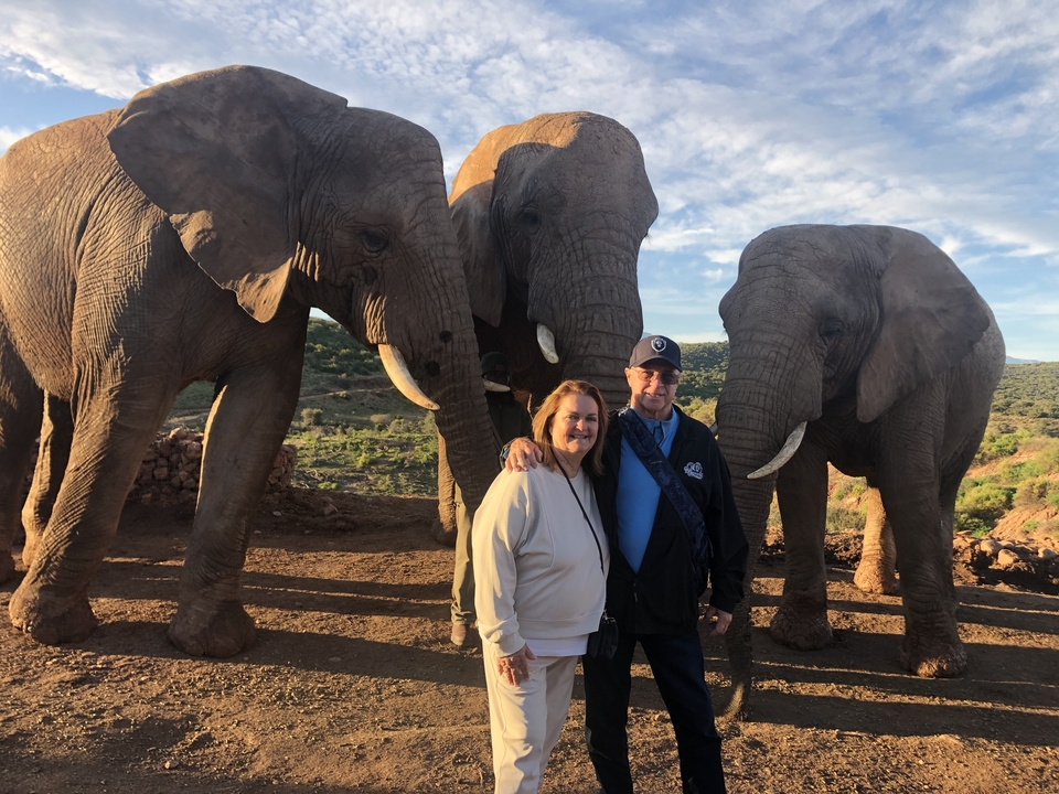 Deux personnes debout avec des éléphants en arrière-plan.