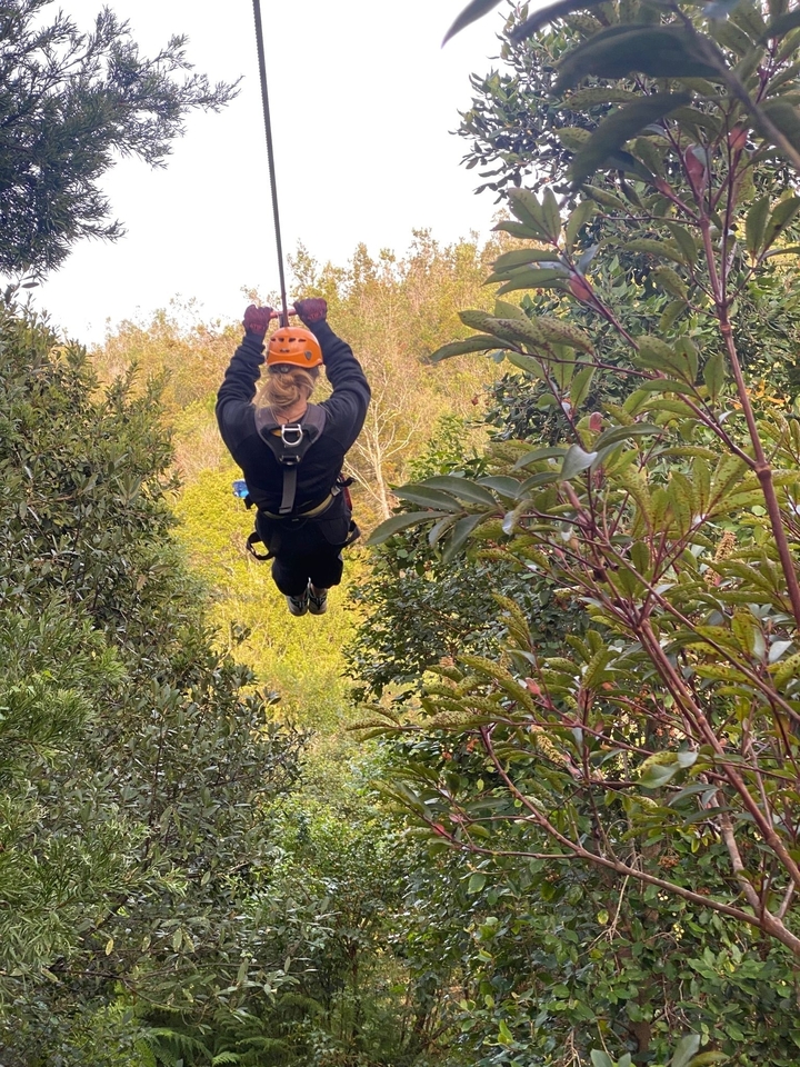 Person ziplining through a forested area.