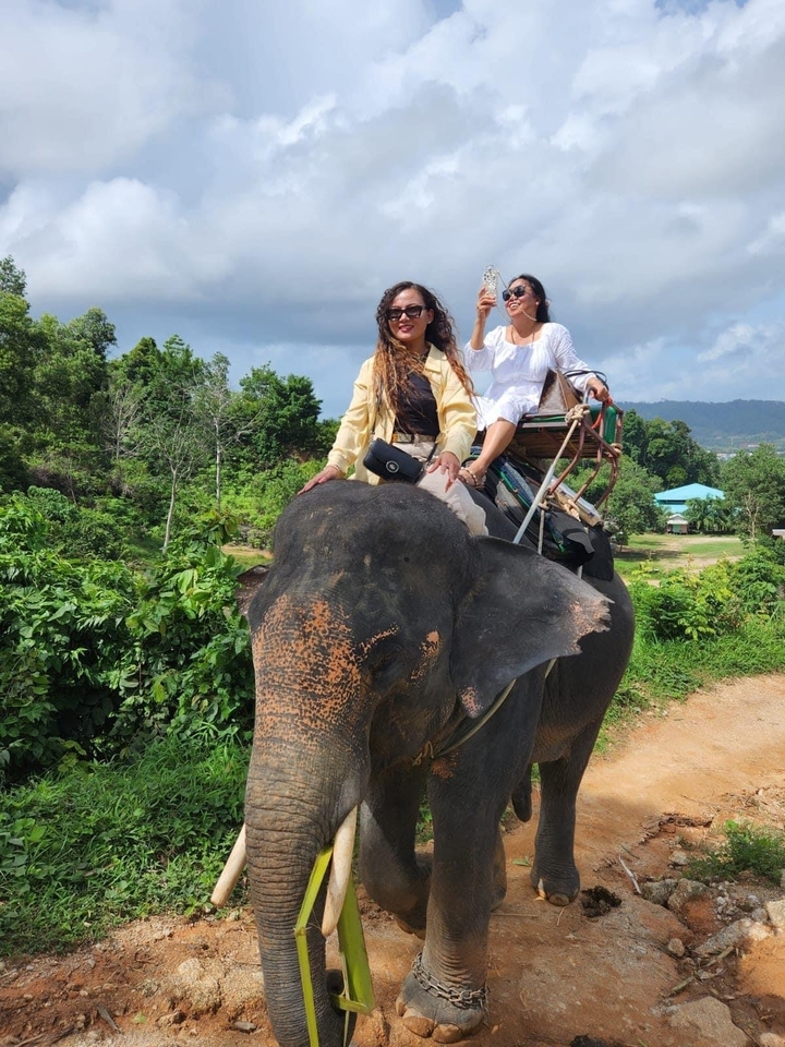 Deux femmes montant un éléphant dans un paysage verdoyant.