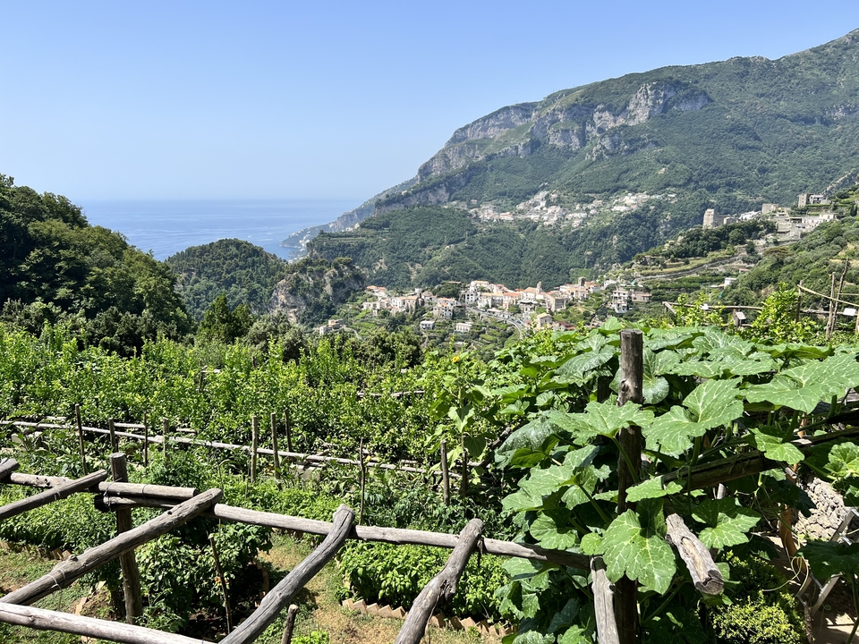 Une végétation luxuriante avec une vallée et une vue sur l'océan en arrière-plan.