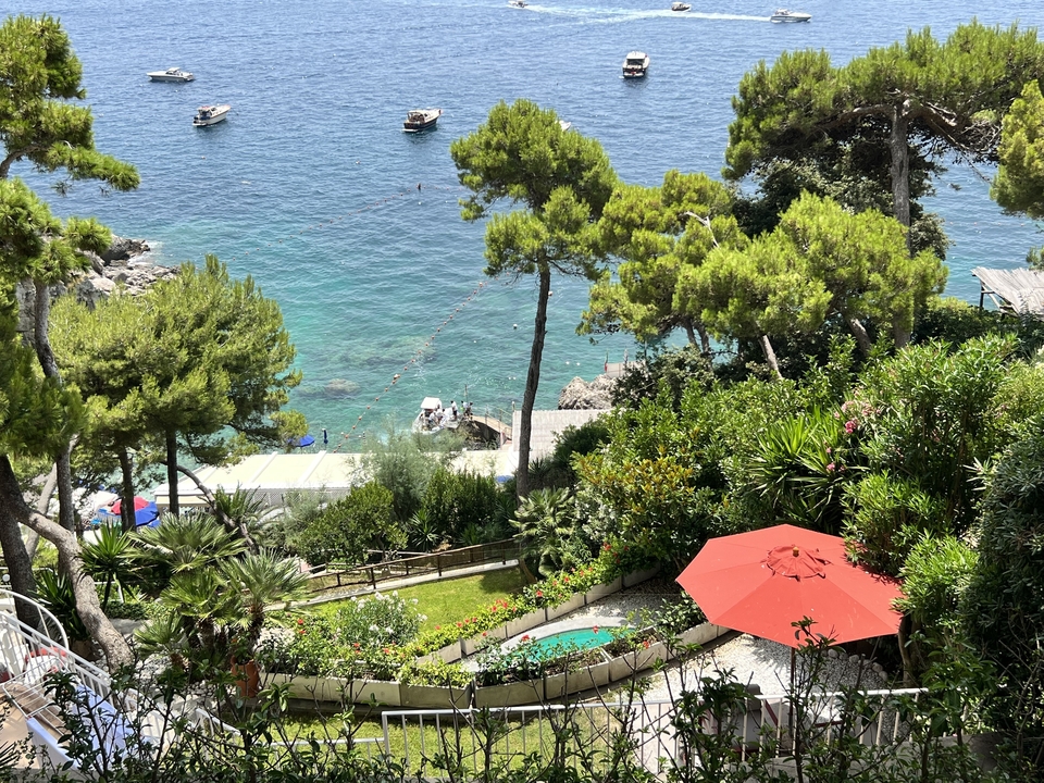Jardin luxuriant surplombant une mer bleue cristalline avec de hautes collines en arrière-plan.