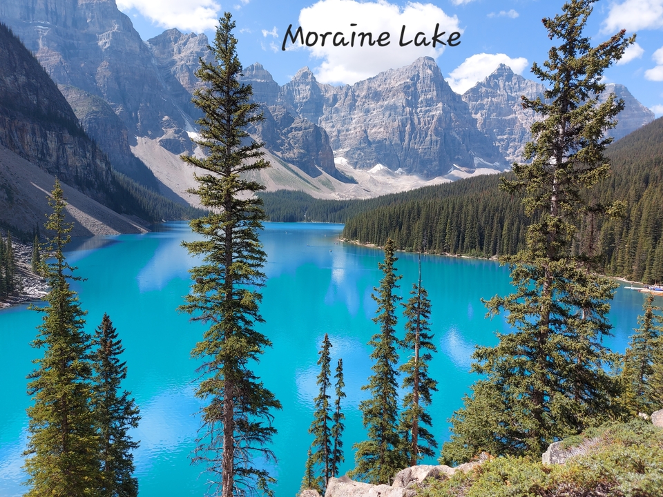 Lac glaciaire turquoise entouré de pins et de montagnes.