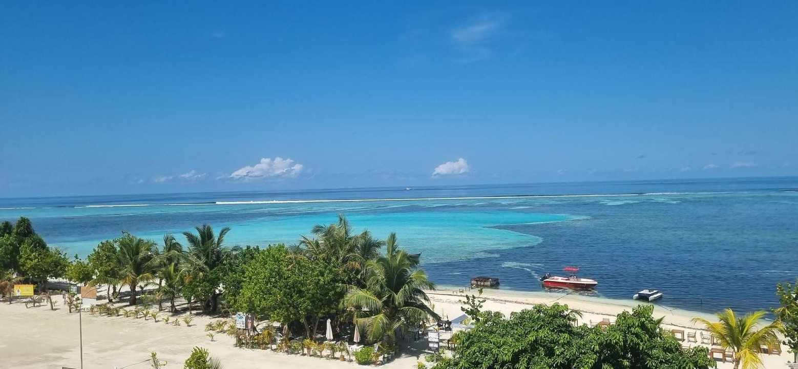 Vue aérienne d'une plage avec des palmiers and des bateaux.