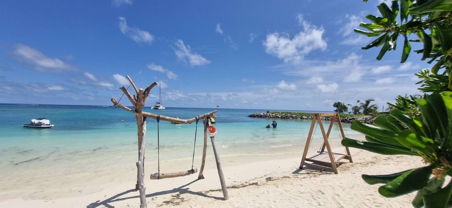 Une scène de plage avec une balançoire en bois et des eaux bleues claires.