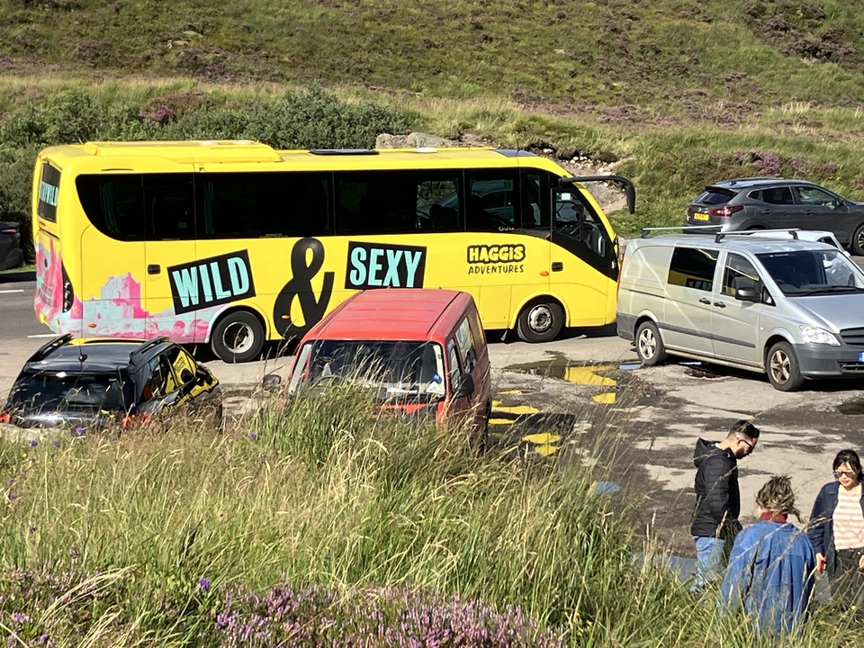 A bright yellow bus with 'Wild & Sexy' branding in a parking area with people nearby.