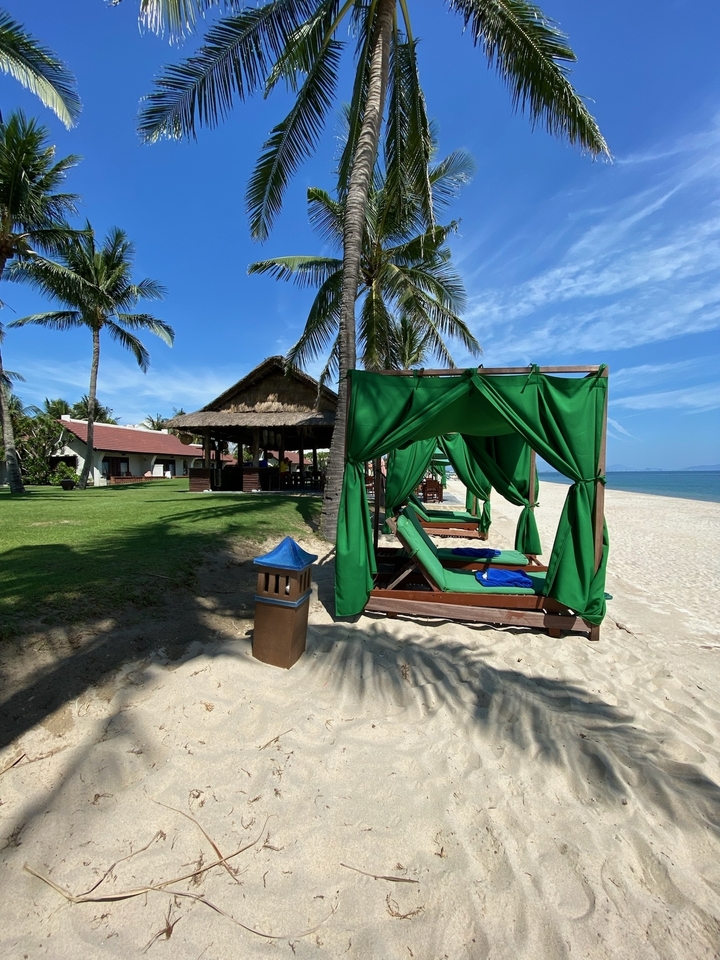 Vue sur la plage avec transats et palmiers.