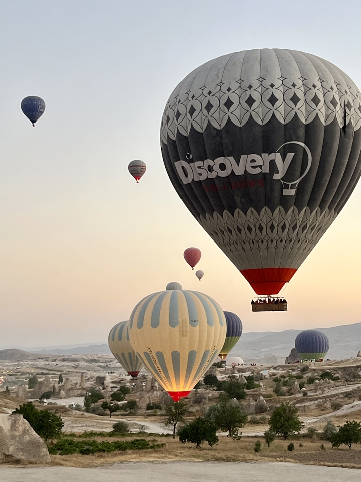 Gros plan de montgolfières en vol.