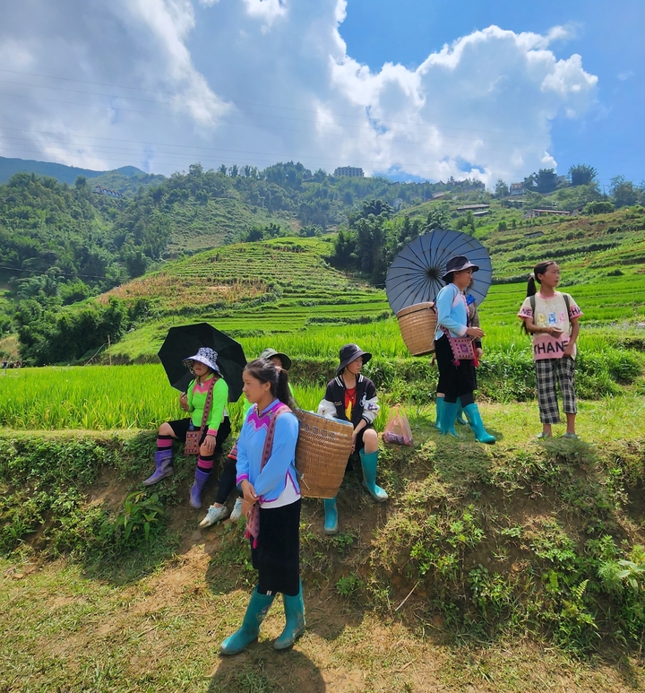Groupe de femmes debout dans un paysage verdoyant en terrasses.